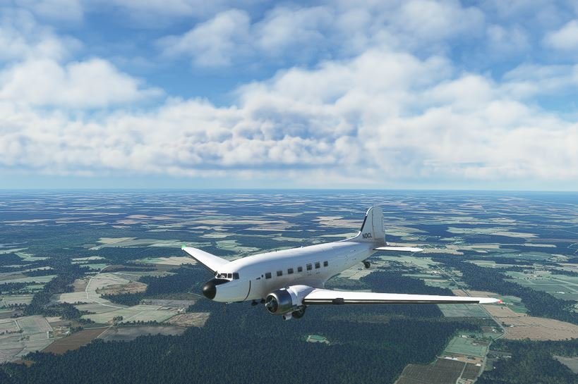fly5.jpg
