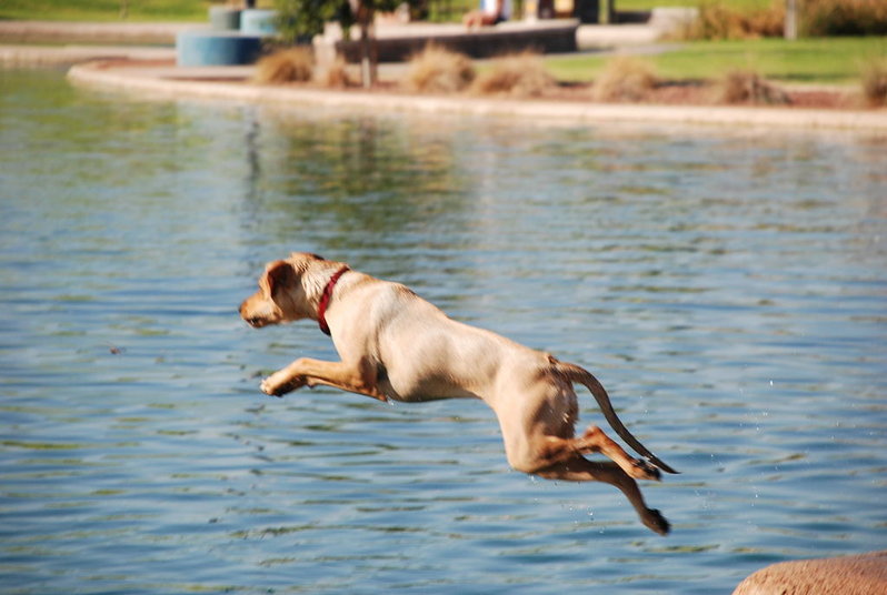 Flying Gabby 144.jpg