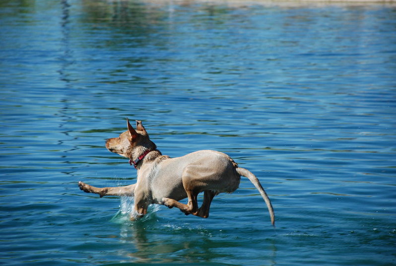 Flying Gabby 149.jpg