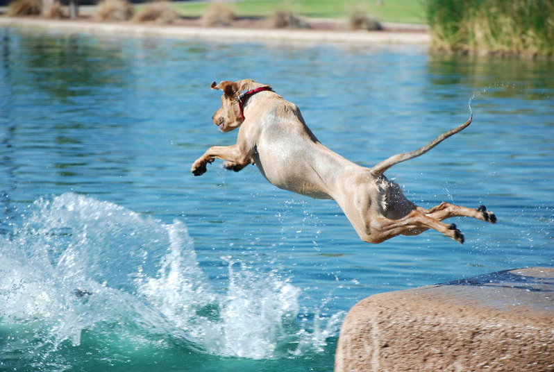 Flying Gabby 150.jpg