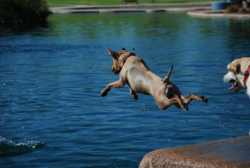 Flying Gabby 152.jpg