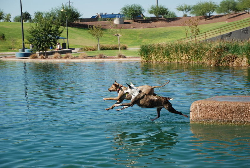 Flying Gabby 156.jpg