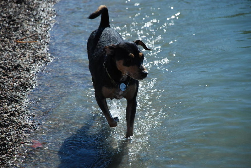 Flying Gabby 171.jpg