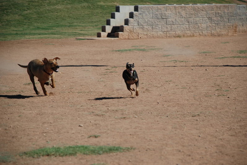 Flying Gabby 224.jpg