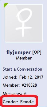 flyjumper.jpg