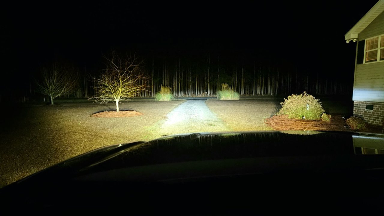 Fog and Low Beam.jpg