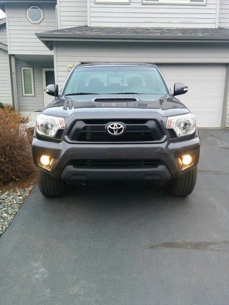 Fog Light .jpg