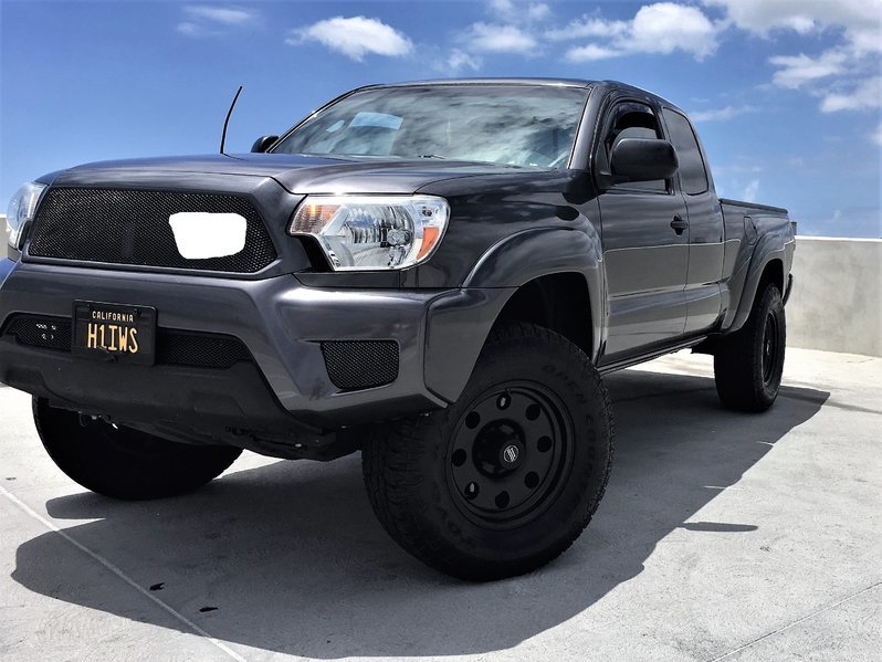 fog light mesh.jpg