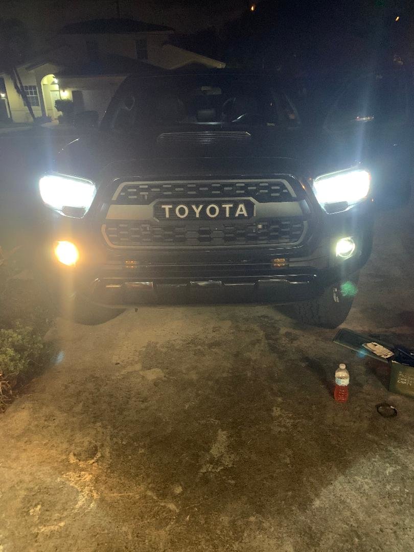 Fog lights 1.jpg
