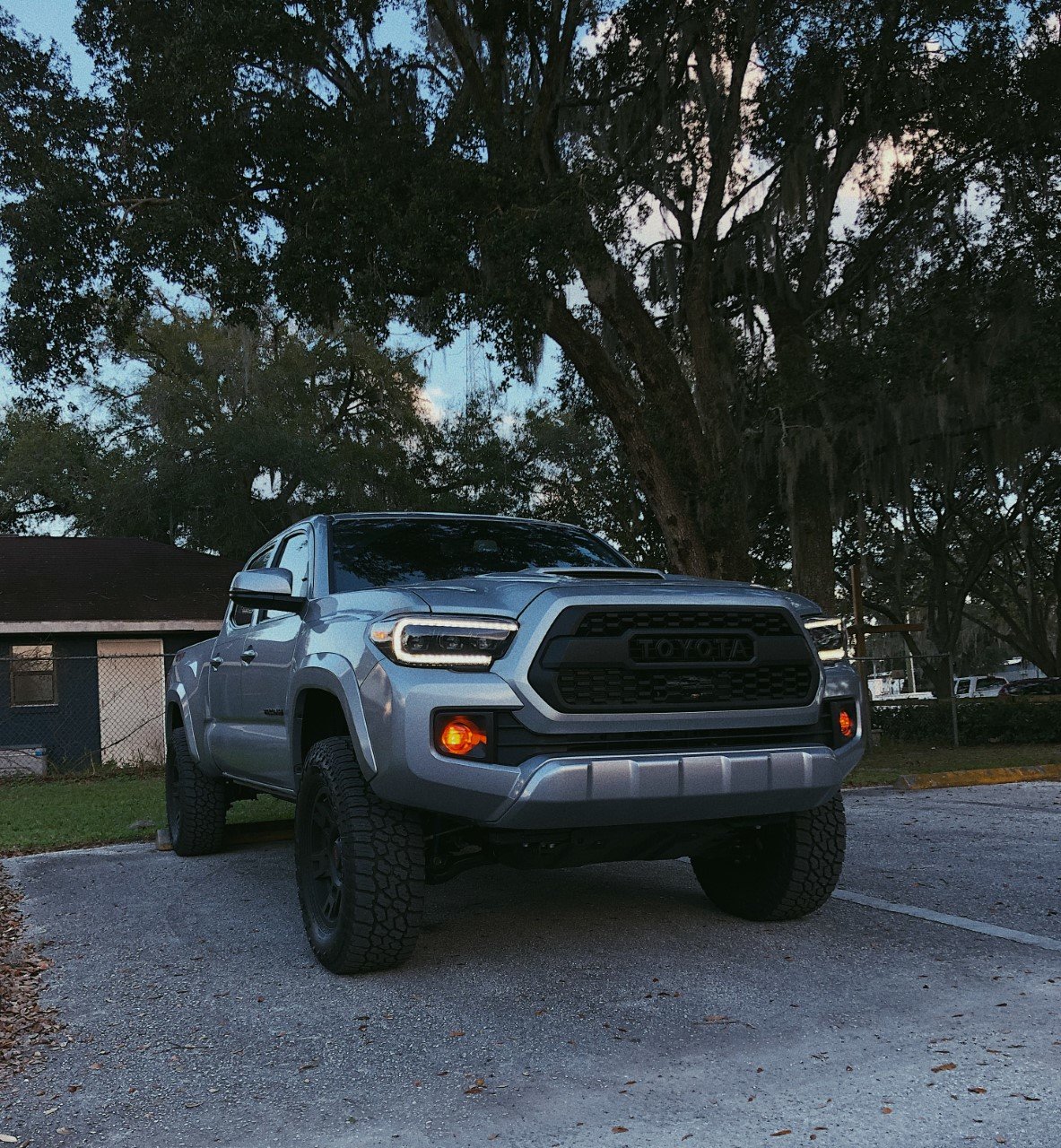 fog lights.jpg