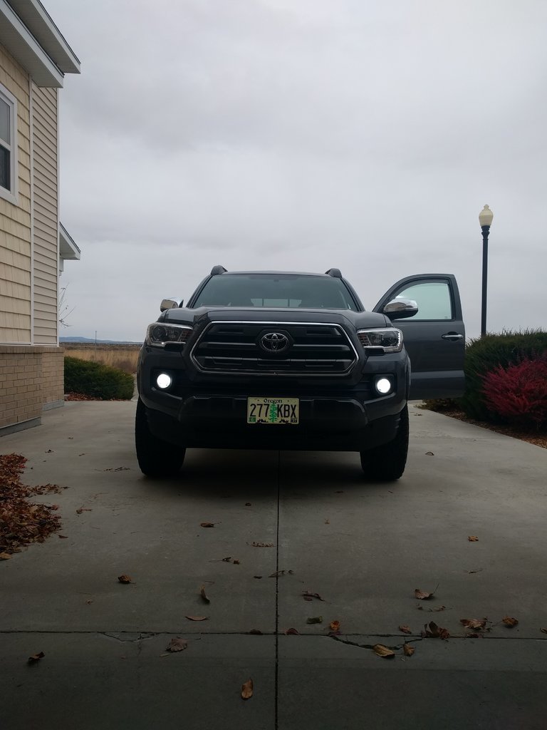 fogs.jpg