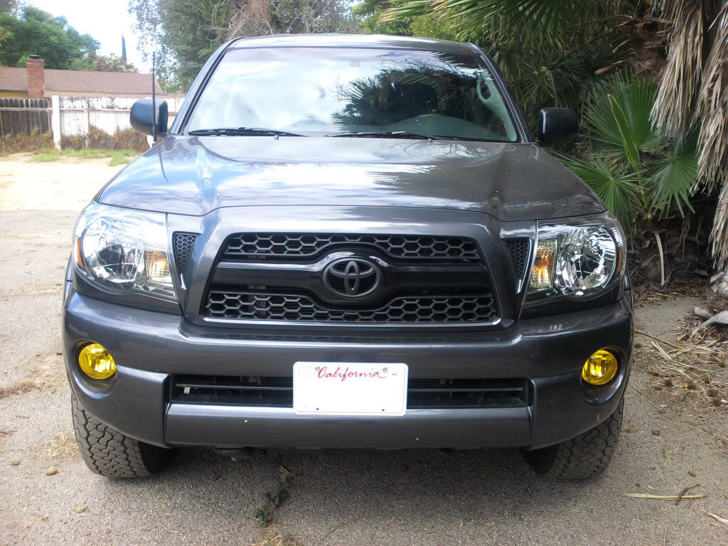 fogs_bb35c460e62dbd2e6b326195cc9bcda98eb32ace.jpg