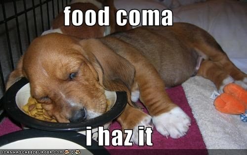 food-coma.jpg