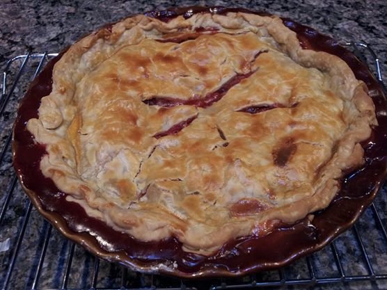 food18.jpg