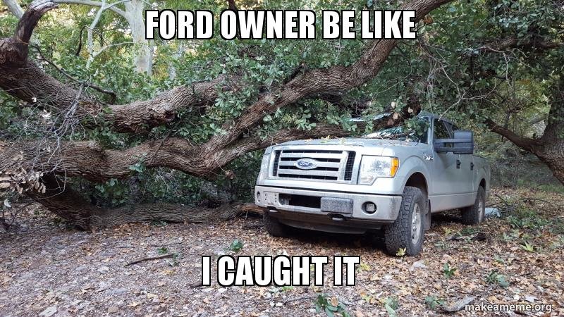ford-owner-be-bw6dpk.jpg