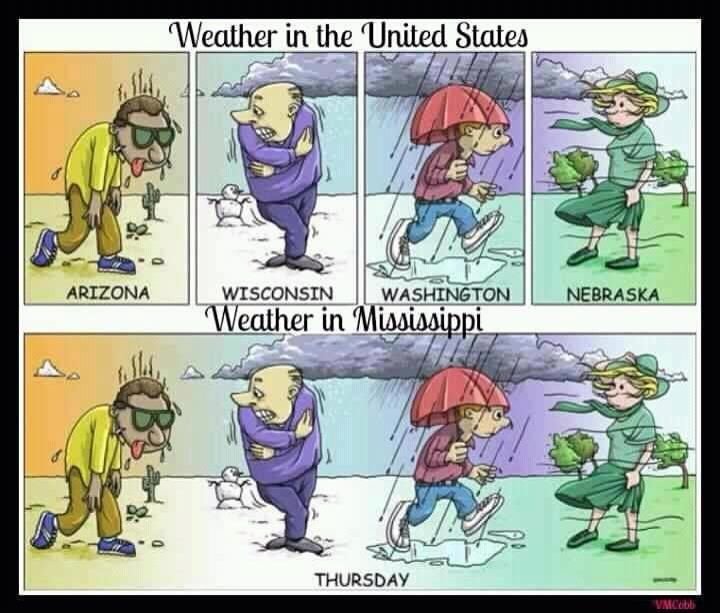 forecast.jpg