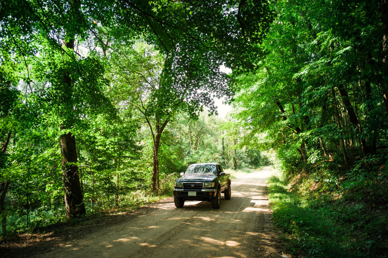 forest011.jpg