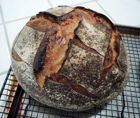 Forkish Field Blend2_2575_edited-1.jpg