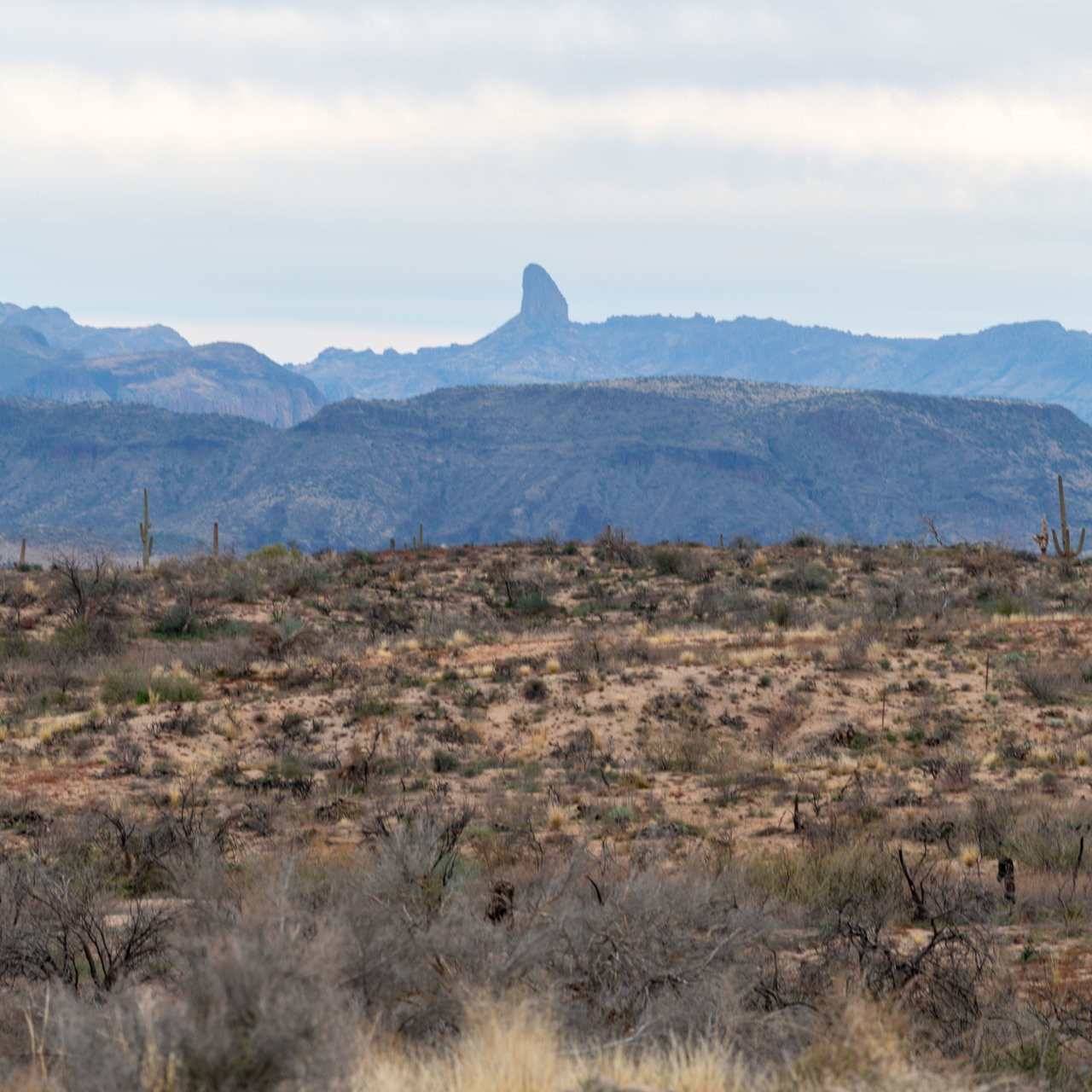 Four Peaks 2021-12-08.jpg