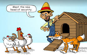 fox-hen-house.jpeg.jpg