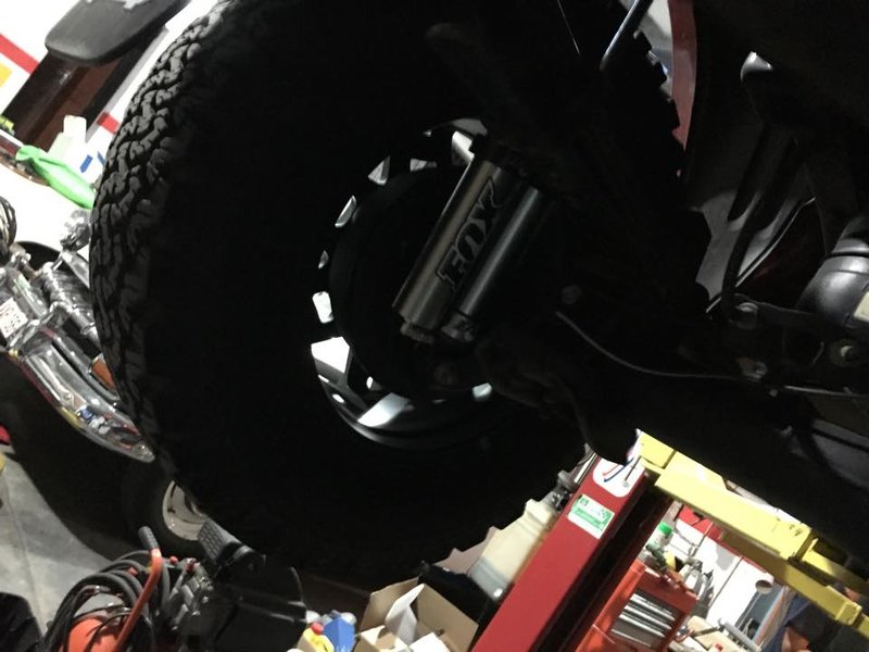 fox rear 1.jpg