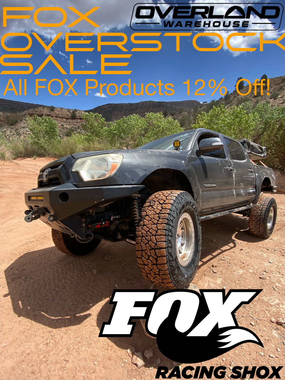 FOX SALE copy.jpg