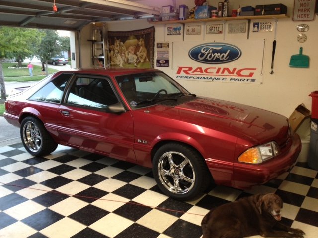 FoxNewWheels_dc1018789681b849b417add07c052a7150a9d958.jpg