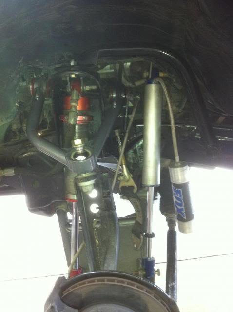 Foxshocks_zps7e46e2e6_f20f0b4853e9b3672e3a7b302ab07305b79a48a3.jpg