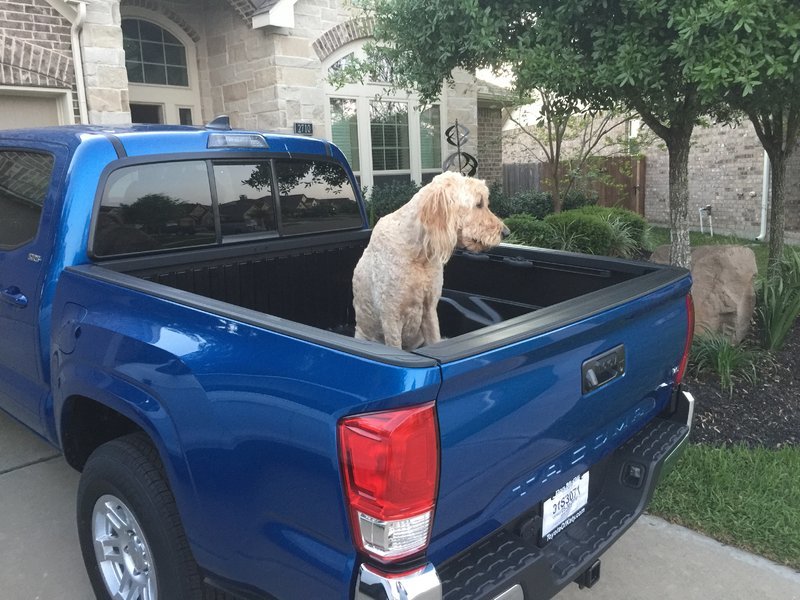 Foz in Truck 05.jpg