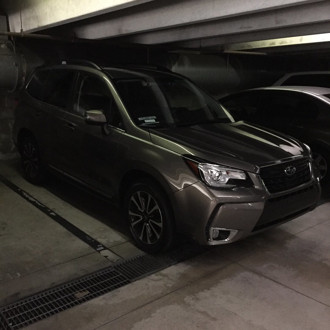 fozzy_garage.jpg