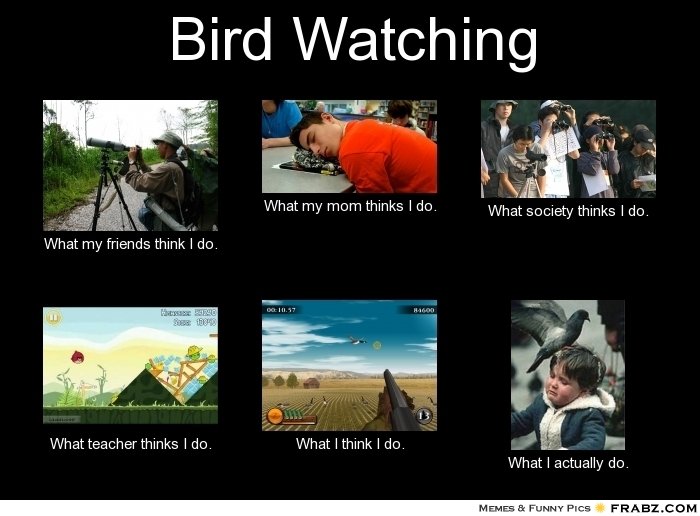 frabz-Bird-Watching-What-my-friends-think-I-do-What-my-mom-thinks-I-do-bc3979.jpg
