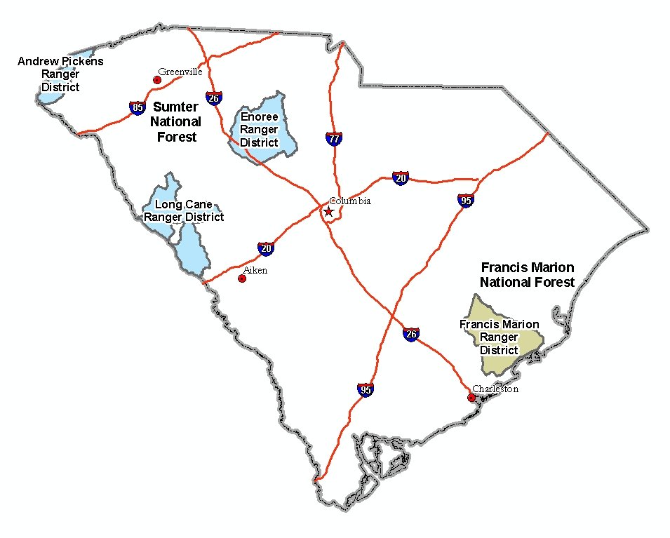 Francis Marion and Sumter National Forest.jpg