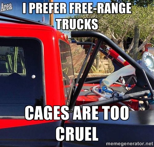 free range.jpg