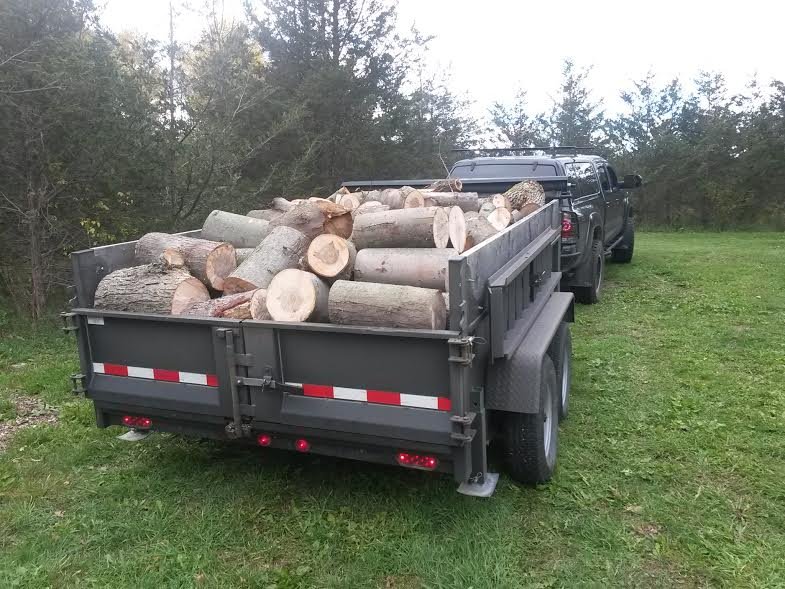 free-wood.jpg