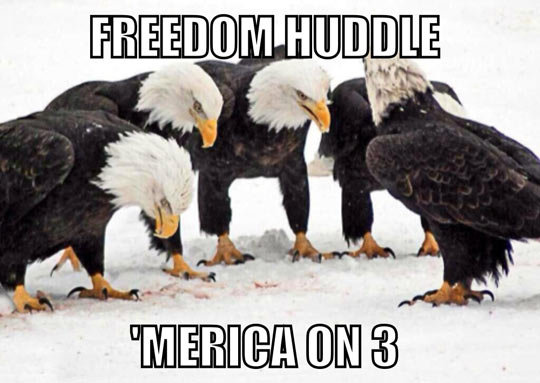 Freedom Huddle.jpg