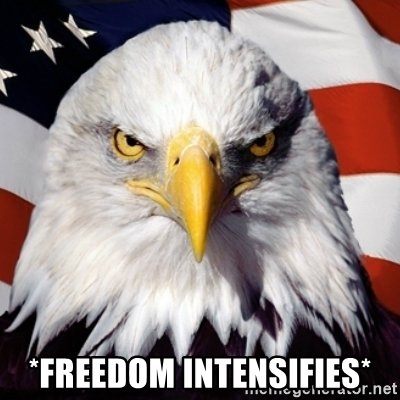 freedom-intensifies.jpg