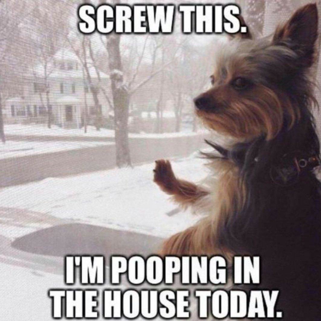 freezing-meme-3-1548793038017-1548793039559.jpg
