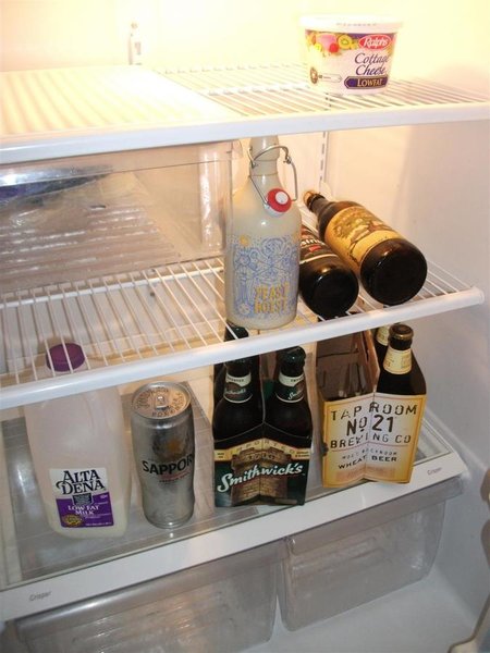 fridge (custom).jpg