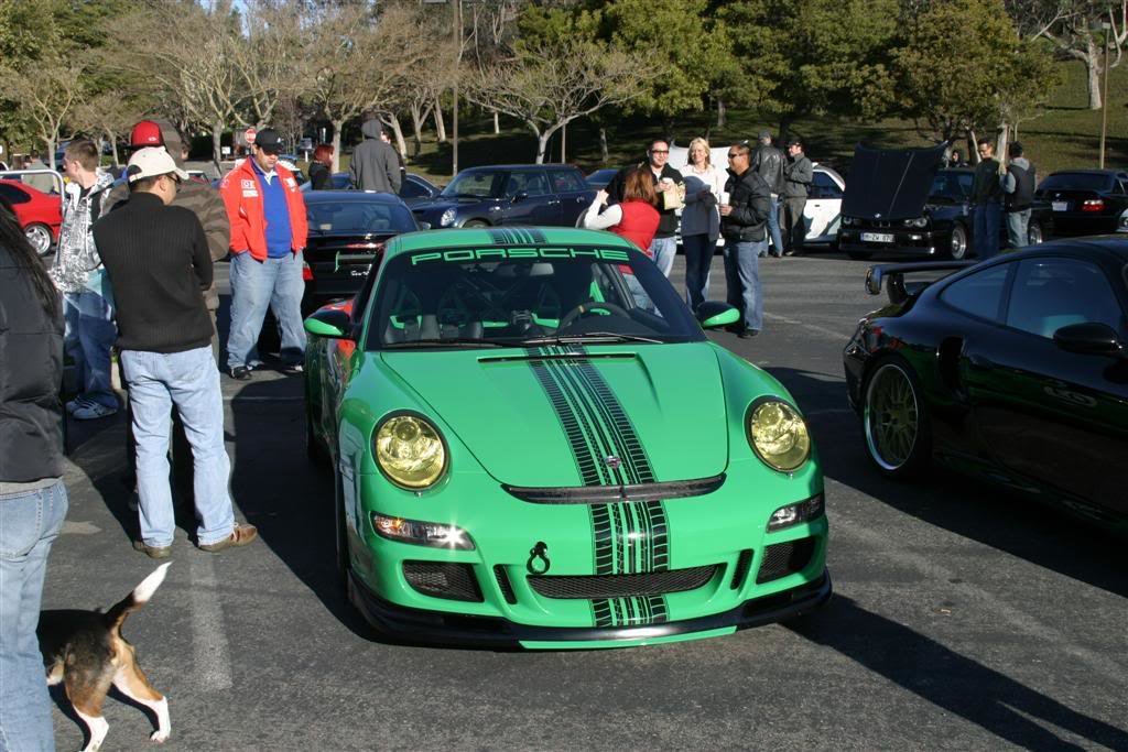 frog1_078870f0ddb19d70d6b080074d50bb890d6ebe68.jpg