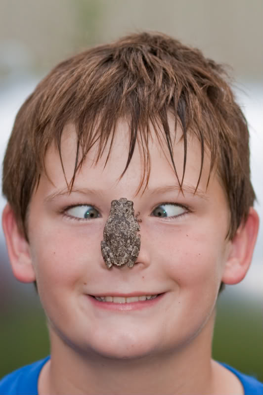 frogface_e77f58a588541cebf229278c8f173fc97ee97da2.jpg