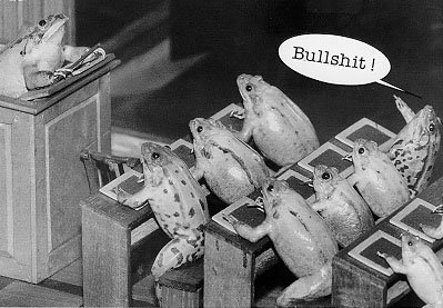 frogs.jpg