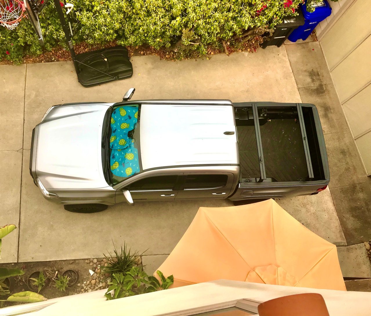from above.jpg