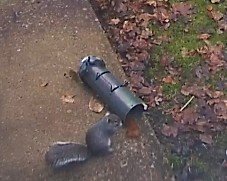 front door - January 26, 2020, 02_55_54 PM.jpg