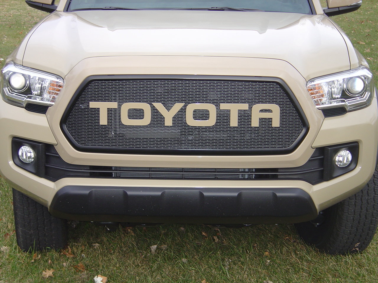 front.jpg