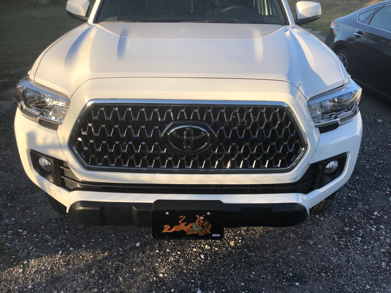 Front.jpg