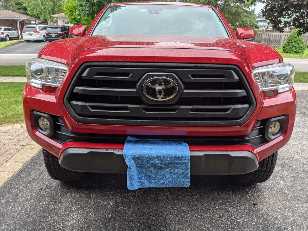 Front post red meso.jpg