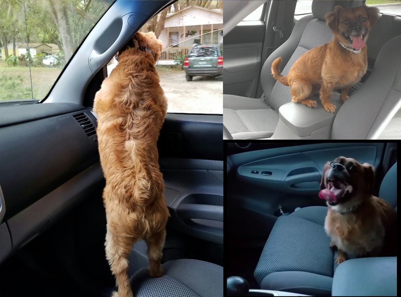 Front seat passenger.jpg