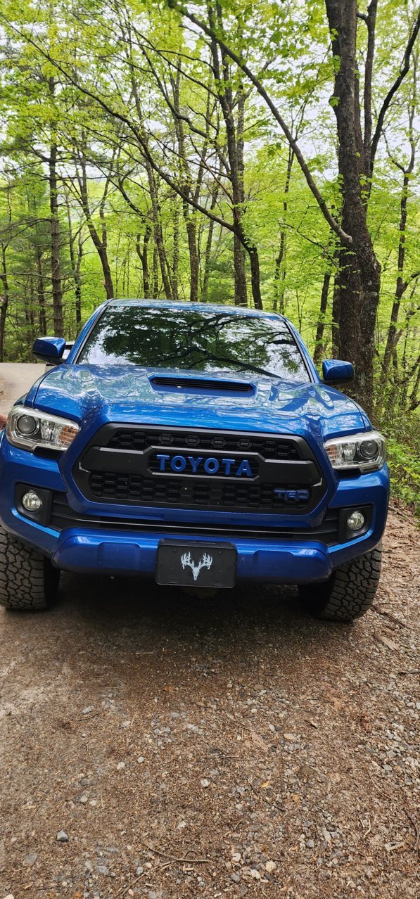 Front Shot of Tacoma.jpg