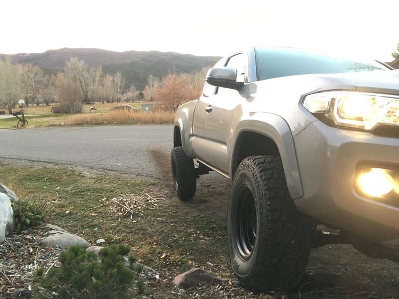 Front stance TORQED .jpg