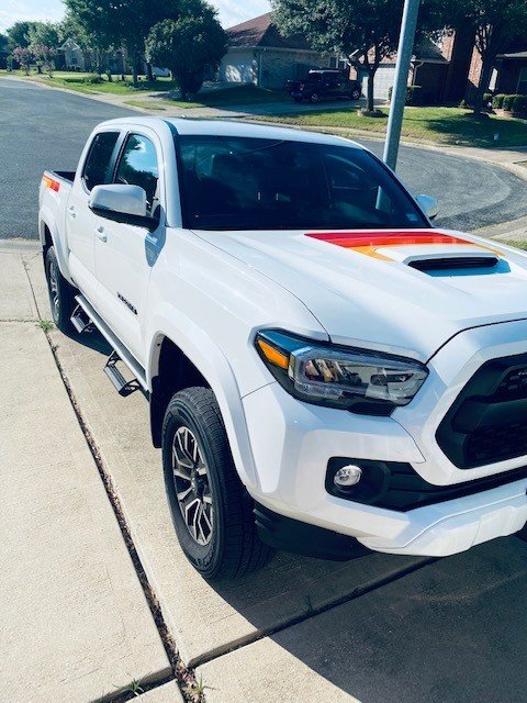Front View with vinyl placement.jpg